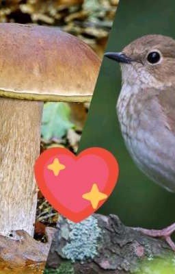 🎊Любовь это взрыв🎉