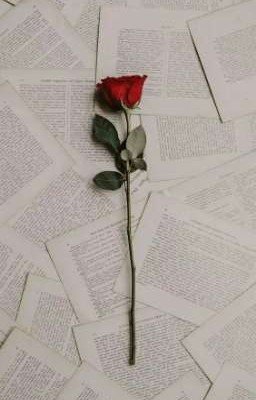 Дневник худеющей🌹❤️