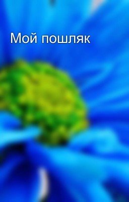 Мой пошляк