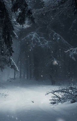 Тот ноябрь