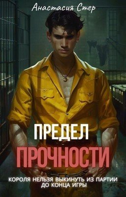 Предел прочности (ЛИТРЕС)