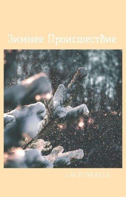 Зимнее Происшествие