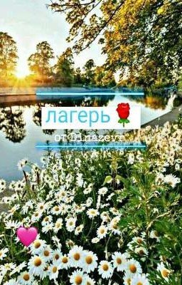 Лагерь🌹
