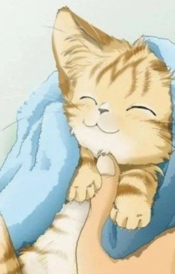 Кitten