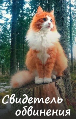 Свидетель обвинения