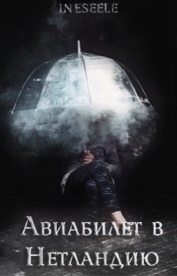 Авиабилет в Нетландию