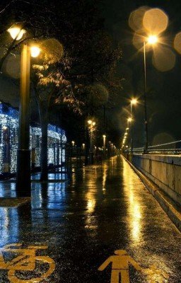 Улицы сеульских фонарей