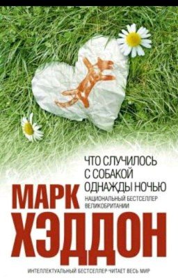 Загадочное Ночное Убийство Собаки
