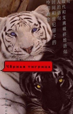 Чёрная тигрица||Великий из бродячих псов ||ЗАМОРОЖЕН||