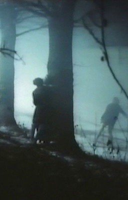 ~「Лес самоубийц」~
