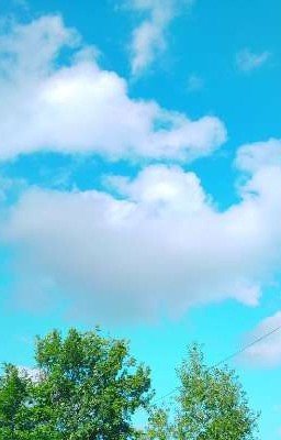 Она видит то, что не надо
