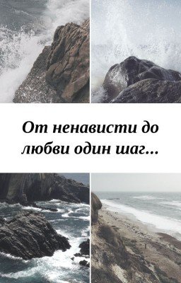 От ненависти до любви один шаг...