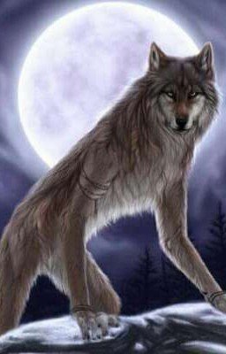 🐺 Он оборотень, и что? [ЗАВЕРШЕНО]🐺