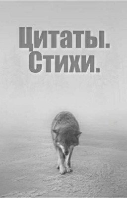Цитаты. Стихи.