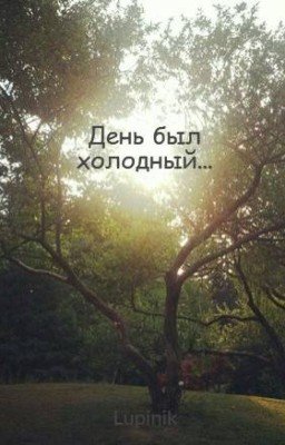 День был холодный...