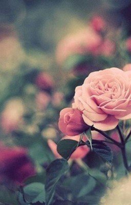 Наша жизнь- это всего лишь игра.