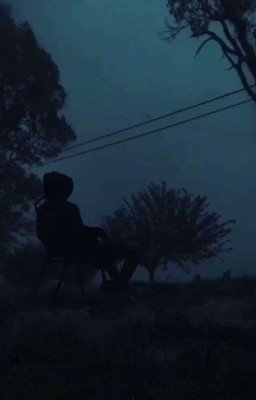 365 дней до моей смерти