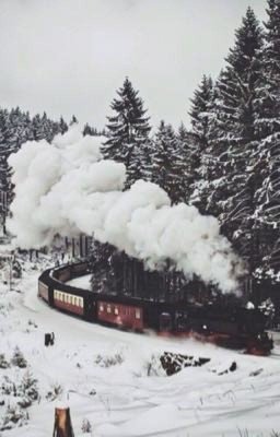Богачка