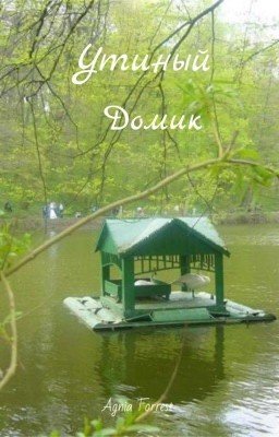Утиный домик