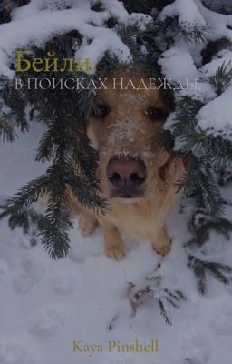 Бейли. В поисках надежды. 