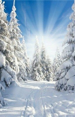 Снегоход