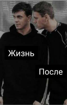 Жизнь после (артон)