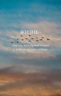 🌱Жизнь🪵