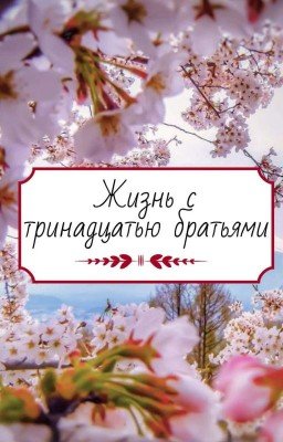 Жизнь с тринадцатью братьями