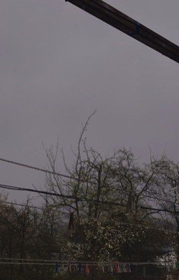 человеческая жизнь