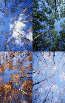 Это жизнь