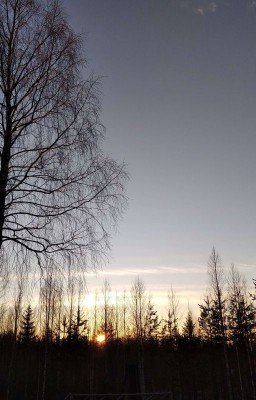 Жизнь