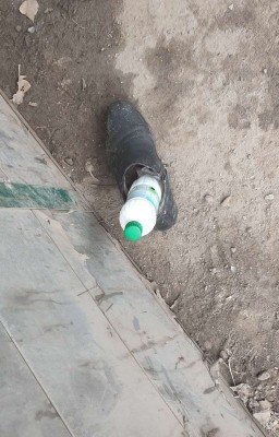 Жизнь ботинка и бутылки