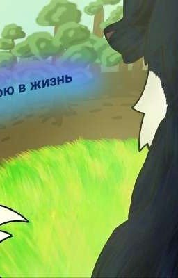 Длинною в жизнь