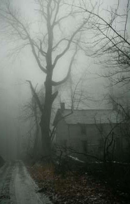 Dark Dream