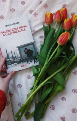 Барбара Демик "Повседневная жизнь в Северной Корее"