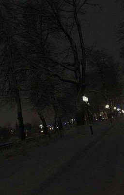 Новый город, Новая Жизнь
