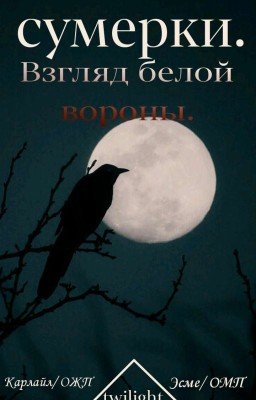 Сумерки.Взгляд белой вороны