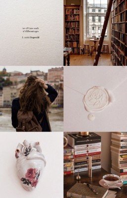 Хранительница книжных миров