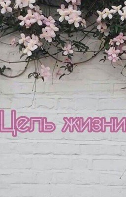 Цель жизни