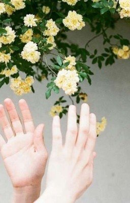 Что почитать на Wattpad?