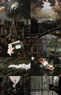 POTTERIANA