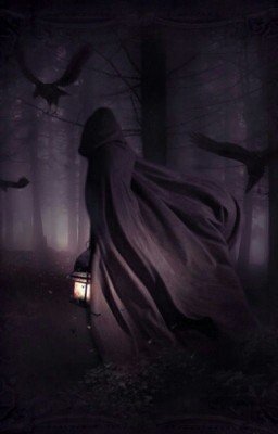 Воин ночи