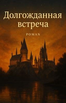 Долгожданная встреча 