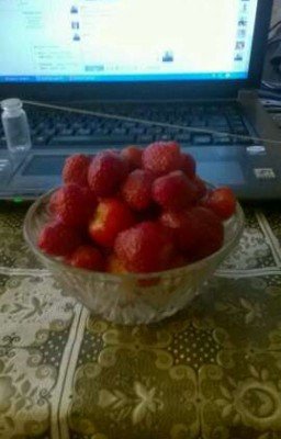 Взломанное будущее