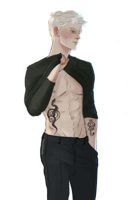 'Shut up, Malfoy'