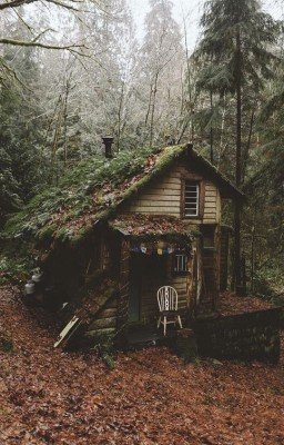 Little Dark Age