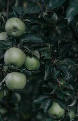 Запах яблок🍏(ЗАМОРОЖЕН НА ДВА ГОДА!)