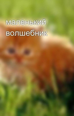 маленький волшебник