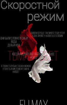 Скоростной режим
