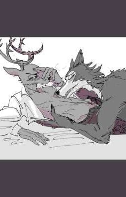 Can't herbivorous and predator be together? (Legosi × Louis)